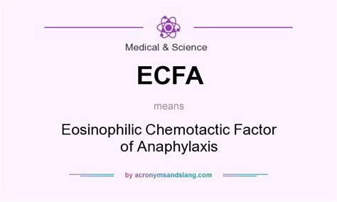 what is ecfa|what does ecfa stand for.